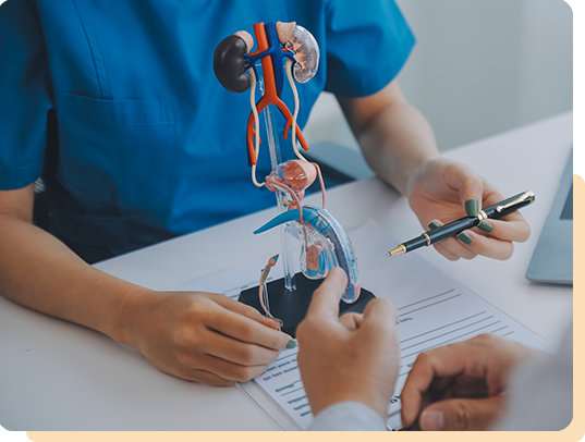 UROLOGY Medical Billing Best Practices